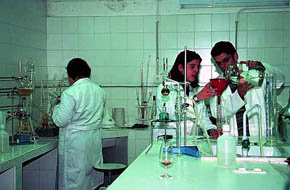 Una sencilla prueba de laboratorio, indica el sexo del bebe a la séptima semana