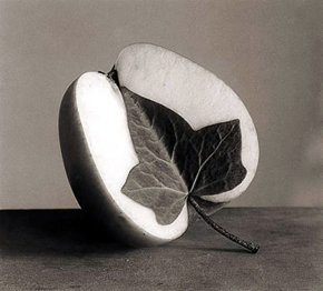 Exposición del fotógrafo Chema Madoz en Moscú