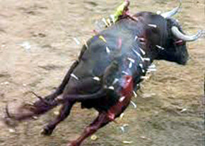 La increíble barbarie del Toro de la Vega...