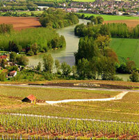 La ruta del champán