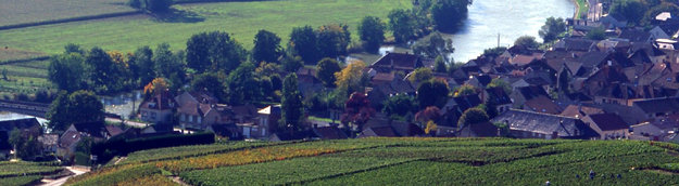 La ruta del champán