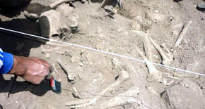 Un grupo de arqueólogos halla 44 'bebés sacrificados' en Perú