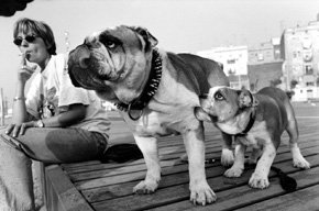 Instituto Cervantes photography workshop featuring Txema Salvans opens to public and students