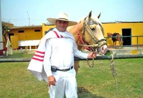 Show de Caballos Peruanos de Paso