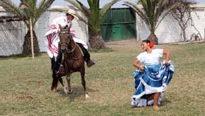 Show de Caballos Peruanos de Paso