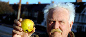 Una de las manzanas caídas del cielo Foto: Daily Telegraph