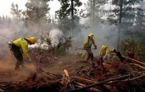 Detienen a israelí sospechoso de causar un incendio en Chile