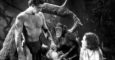 Desmontando a Chita: donde acaba el mono y empieza el mito