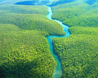 Chevron condenada a reparar el daño ambiental causado en la Amazonía