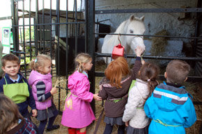 Más de 3.000 escolares visitarán la Granja Escuela Las Palmeras de Torremolinos la próxima primavera