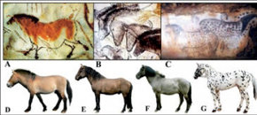 Los caballos moteados del arte rupestre existieron en el paleolítico europeo