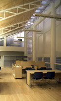 BIBLIOTECA: Miguel Hernández
