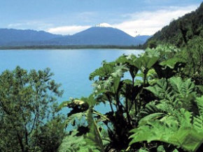 La Patagonia, Biodiversidad en peligro