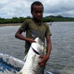 El objetivo del proyecto Kubulau es aumentar la biomasa de peces en la zona (Wayne Moy)