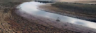 El Gobierno convocará la mesa de la sequía antes del próximo 26 de marzo