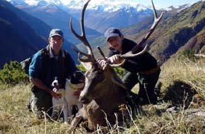 Pagan 40.000 euros por cazar ocho ciervos y 17.500 por cuatro lobos en Zamora
 