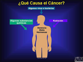 Nueve de cada diez casos de cáncer están causados por factores ambientales
 