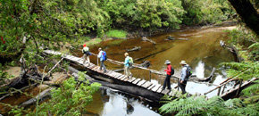 Gobierno chileno apuesta por el desarrollo del turismo sustentable en Áreas Silvestres Protegidas