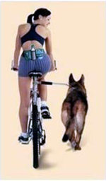 Los paseos en bicicleta son una excelente alternativa...