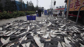 Miles de aletas de tiburon al sol, en las calle Hong Kong