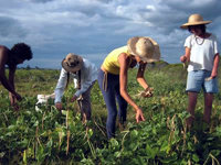 Trabajos al aire libre: Cuidado con el sol