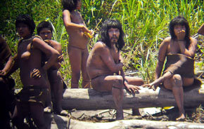 Indígenas amazónicos (Foto: Survival International)