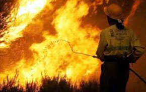 1.000 millones de pérdidas en los incendios forestales de Valencia