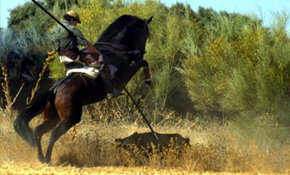 Castilla La Mancha legaliza la caza con lanzas