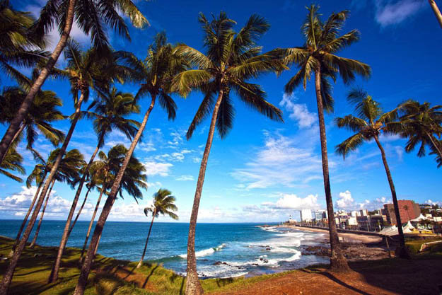 Salvador de Bahía: Arte y naturaleza en Brasil