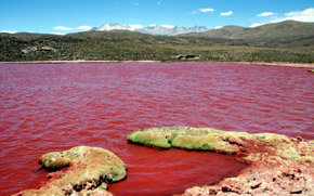Chile: Laguna Roja, la laguna que parece sangre