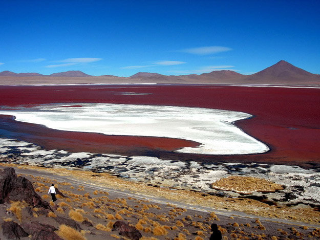 Chile: Laguna Roja, la laguna que parece sangre