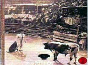 Actuación del torero “El Nene”, año 1953