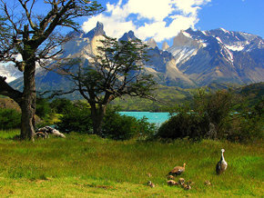 Patagonia chilena busca posicionarse en el mercado brasileño