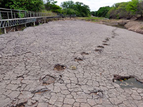 Entre huellas de dinosaurios