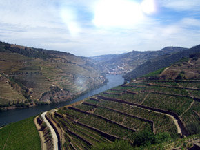 Por la Ruta del Oporto