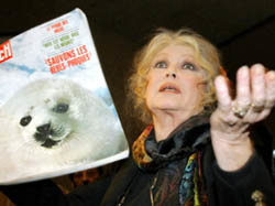 La principal actividad de Bardot en la actualidad es la defensa de los animales.