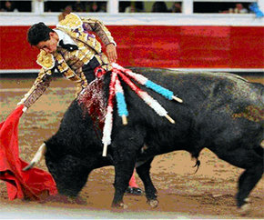 Lucha con animal vencido