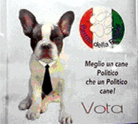 “Stefano”, perro candidato a alcalde en Sicilia, Italia 