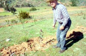 Gobierno envía proyecto al Congreso Nacional para fortalecer la forestación   