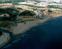 Hallan un calamar gigante bien conservado en una playa de Algeciras