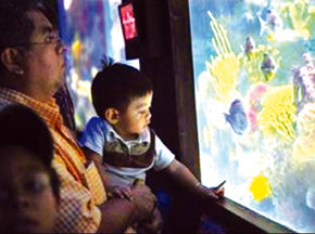 El primer restaurante-acuario de Hispanoamérica está en Guatemala