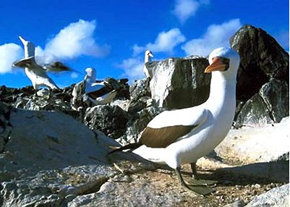 Islas Galápagos: Entre lo más puro de la Naturaleza