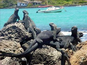 Islas Galápagos: Entre lo más puro de la Naturaleza