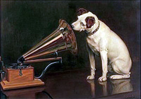 Estudio señala que los perros prefieren música clásica y no heavy metal