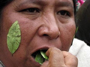 En la imagen de archivo, una mujer indígena boliviana masca hojas de coca