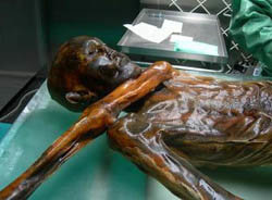 Otzi, el hombre de hielo, murio asesinado 