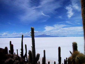 El salar de Uyuni, con 12.000 kilómetros cuadrados, el Salar de Uyuni es uno de los mayores desiertos de sal del mundo