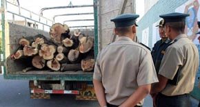 Detenidas 200 personas en Latinoamérica por el tráfico ilegal de madera