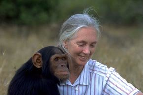 La primatóloga y Mensajera de la Paz de Naciones Unidas Jane Goodall 