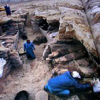Importante hallazgo arqueológico en la zona de Saqqara, en Egipto
